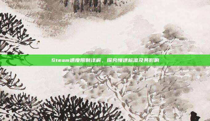Steam速度限制详解,探究慢速标准及其影响