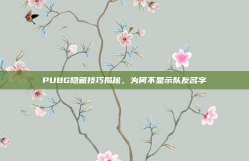 PUBG隐藏技巧揭秘,为何不显示队友名字