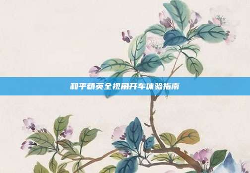和平精英全视角开车体验指南
