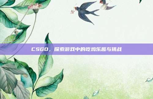 CSGO,探索游戏中的吃鸡乐趣与挑战