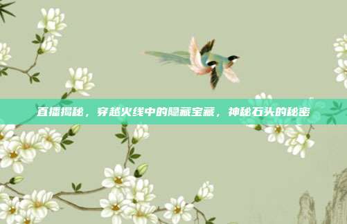 直播揭秘,穿越火线中的隐藏宝藏,神秘石头的秘密