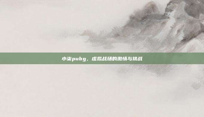 小柒pubg,虚拟战场的激情与挑战