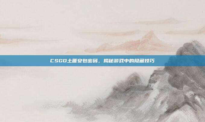 CSGO土匪安包密码,揭秘游戏中的隐藏技巧
