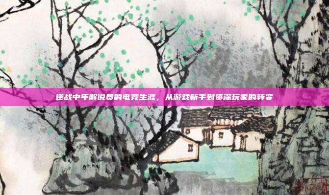 逆战中年解说员的电竞生涯,从游戏新手到资深玩家的转变