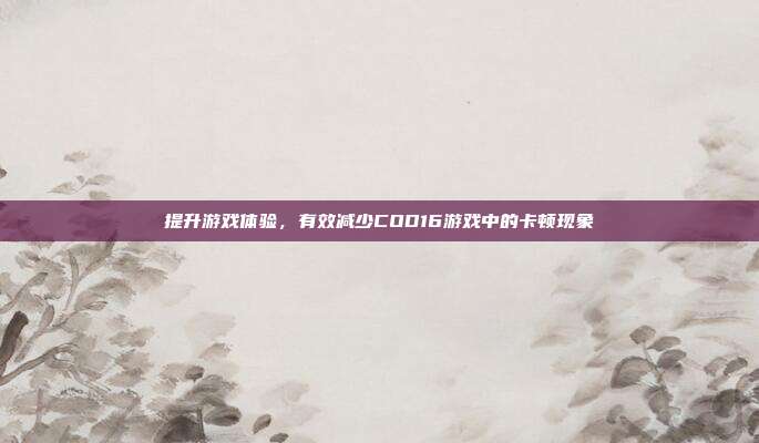 提升游戏体验,有效减少COD16游戏中的卡顿现象