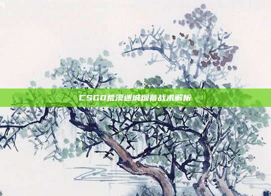 CSGO荒漠迷城烟幕战术解析