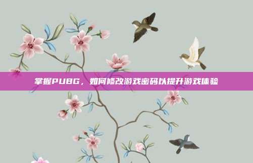 掌握PUBG,如何修改游戏密码以提升游戏体验