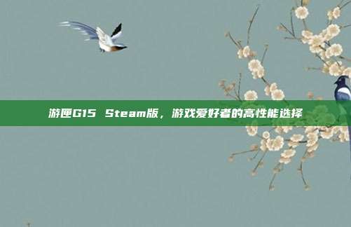 游匣G15 Steam版,游戏爱好者的高性能选择