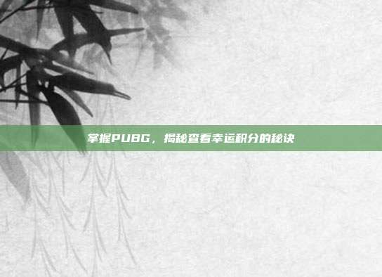 掌握PUBG,揭秘查看幸运积分的秘诀