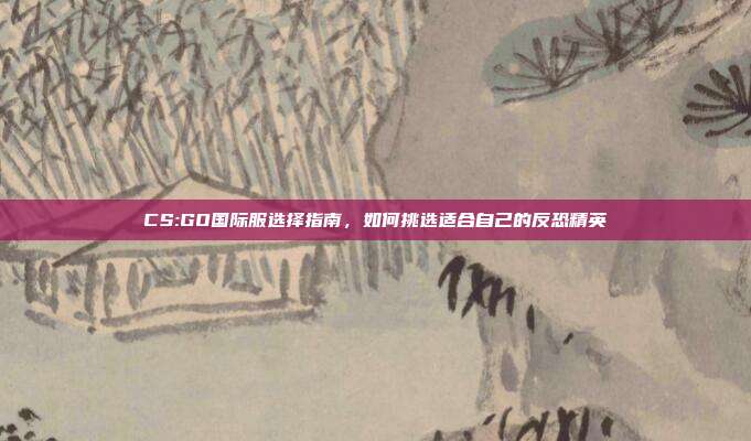 CS:GO国际服选择指南,如何挑选适合自己的反恐精英