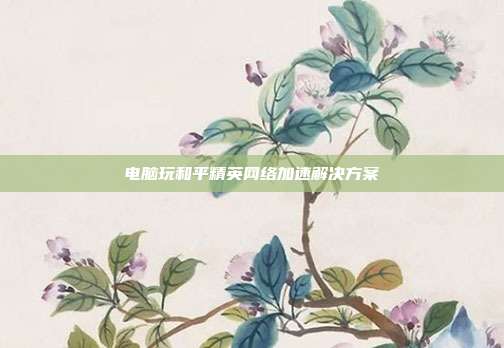 电脑玩和平精英网络加速解决方案