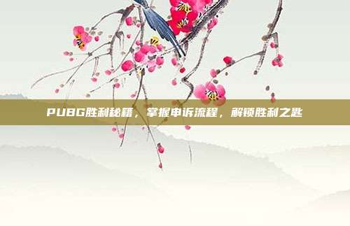 PUBG胜利秘籍,掌握申诉流程,解锁胜利之匙