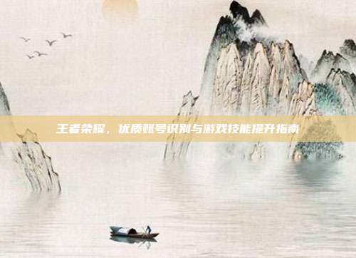 王者荣耀,优质账号识别与游戏技能提升指南