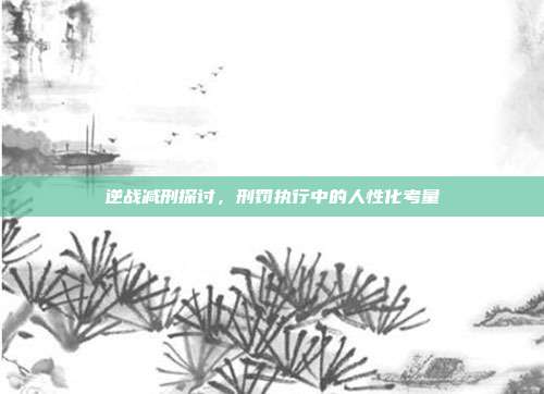 逆战减刑探讨,刑罚执行中的人性化考量