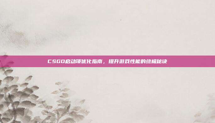 CSGO启动项优化指南,提升游戏性能的终极秘诀