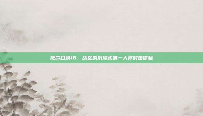 使命召唤16,战区的沉浸式第一人称射击体验