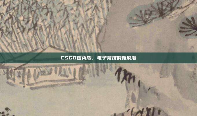 CSGO国内版,电子竞技的新浪潮
