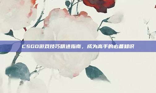 CSGO游戏技巧精进指南,成为高手的必备知识