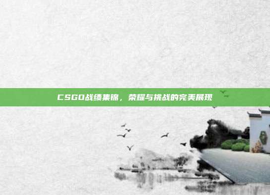 CSGO战绩集锦,荣耀与挑战的完美展现