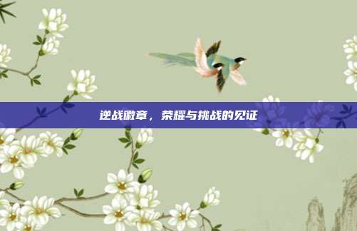 逆战徽章,荣耀与挑战的见证