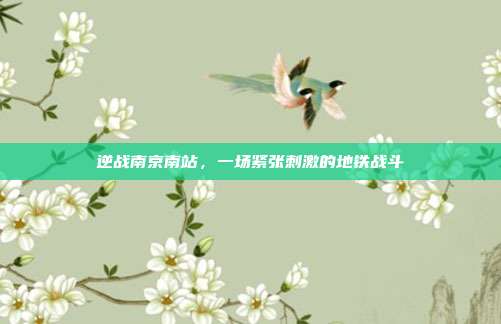 逆战南京南站,一场紧张刺激的地铁战斗