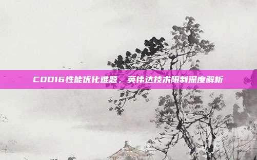COD16性能优化难题,英伟达技术限制深度解析