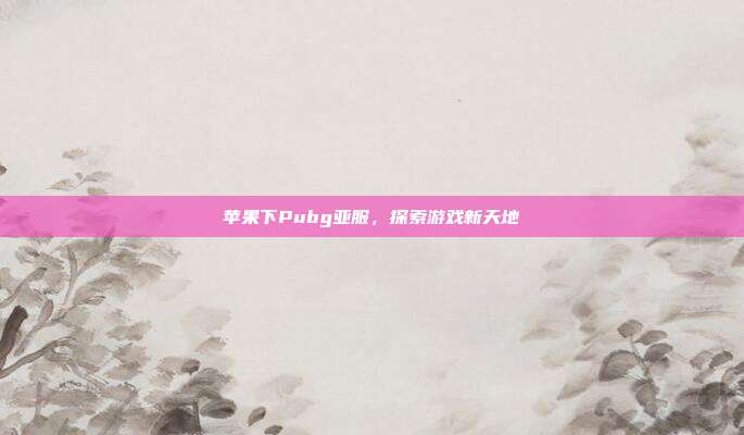 苹果下Pubg亚服,探索游戏新天地