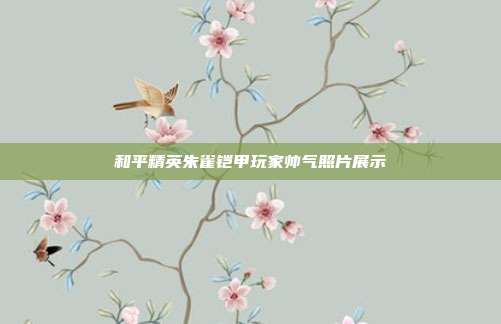 和平精英朱雀铠甲玩家帅气照片展示