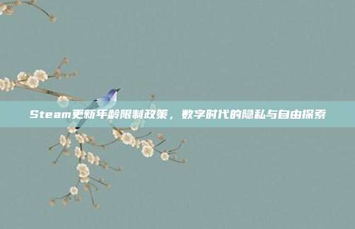 Steam更新年龄限制政策,数字时代的隐私与自由探索