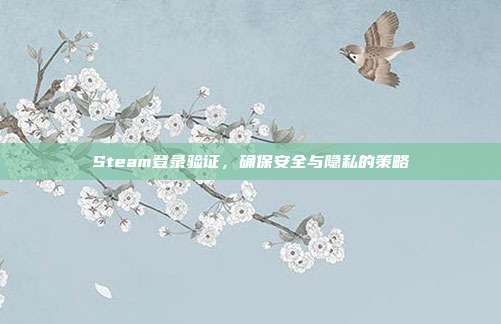 Steam登录验证,确保安全与隐私的策略