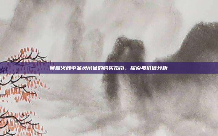 穿越火线中圣灵角色的购买指南,探索与价值分析