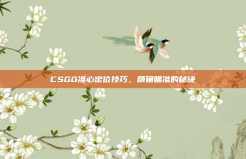 CSGO准心定位技巧,精确瞄准的秘诀