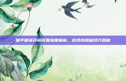 和平精英开镜设置深度解析,游戏内隐藏技巧揭秘