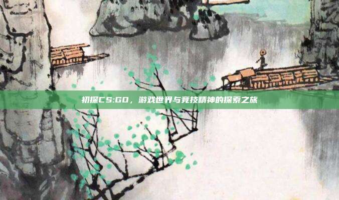 初探CS:GO,游戏世界与竞技精神的探索之旅