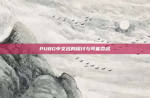 PUBG中文名的探讨与可能命名