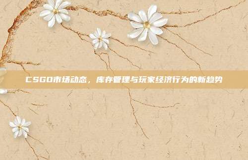 CSGO市场动态,库存管理与玩家经济行为的新趋势