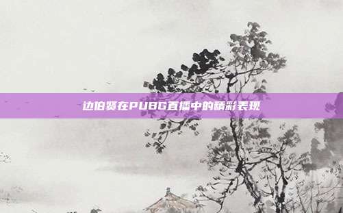 边伯贤在PUBG直播中的精彩表现