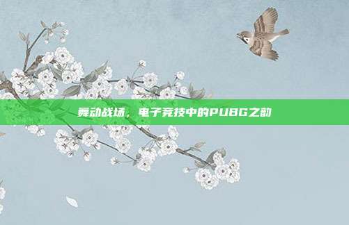 舞动战场,电子竞技中的PUBG之韵
