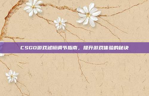 CSGO游戏滤镜调节指南,提升游戏体验的秘诀