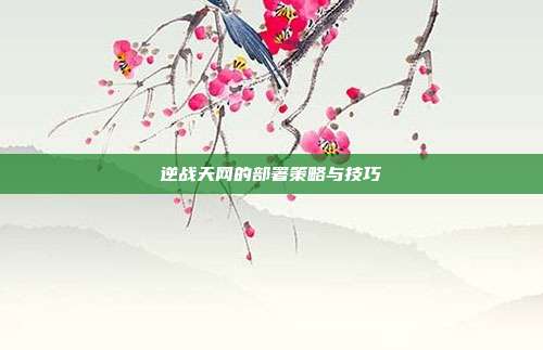 逆战天网的部署策略与技巧