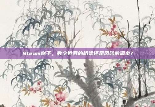 Steam梯子,数字世界的桥梁还是风险的源泉?