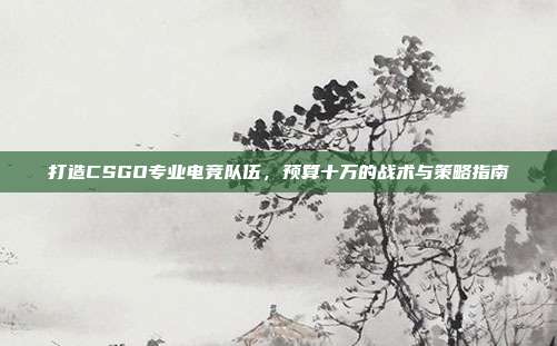打造CSGO专业电竞队伍,预算十万的战术与策略指南
