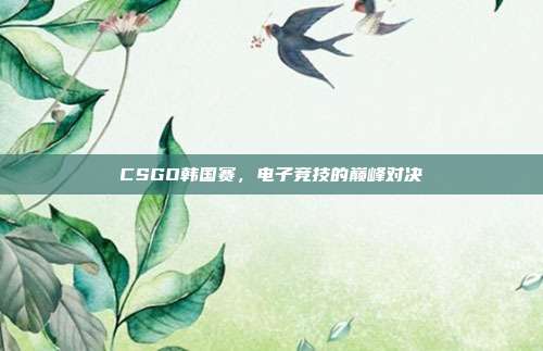 CSGO韩国赛,电子竞技的巅峰对决