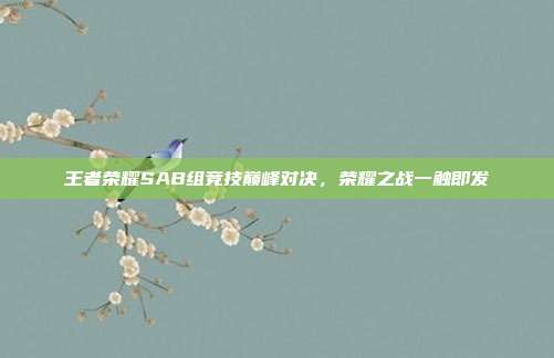 王者荣耀SAB组竞技巅峰对决,荣耀之战一触即发