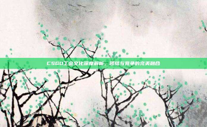 CSGO工会文化深度解析,团结与竞争的完美融合