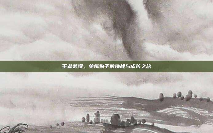 王者荣耀,单排狗子的挑战与成长之旅