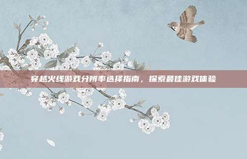 穿越火线游戏分辨率选择指南,探索最佳游戏体验