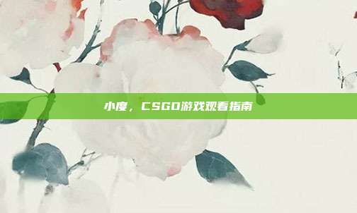 小度,CSGO游戏观看指南