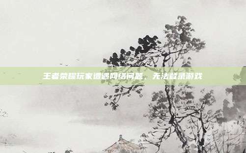 王者荣耀玩家遭遇网络问题,无法登录游戏