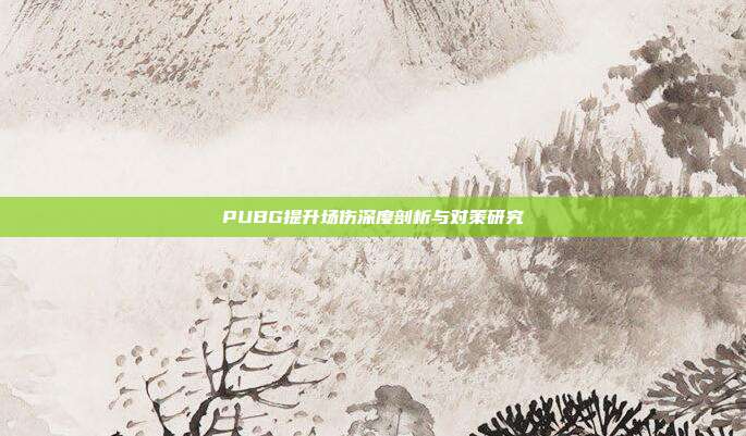 PUBG提升场伤深度剖析与对策研究